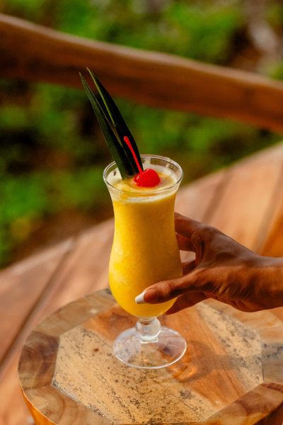 El Salvador Wellness Retreat (3)