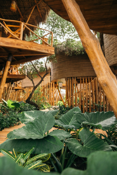 El Salvador Wellness Retreat (5)